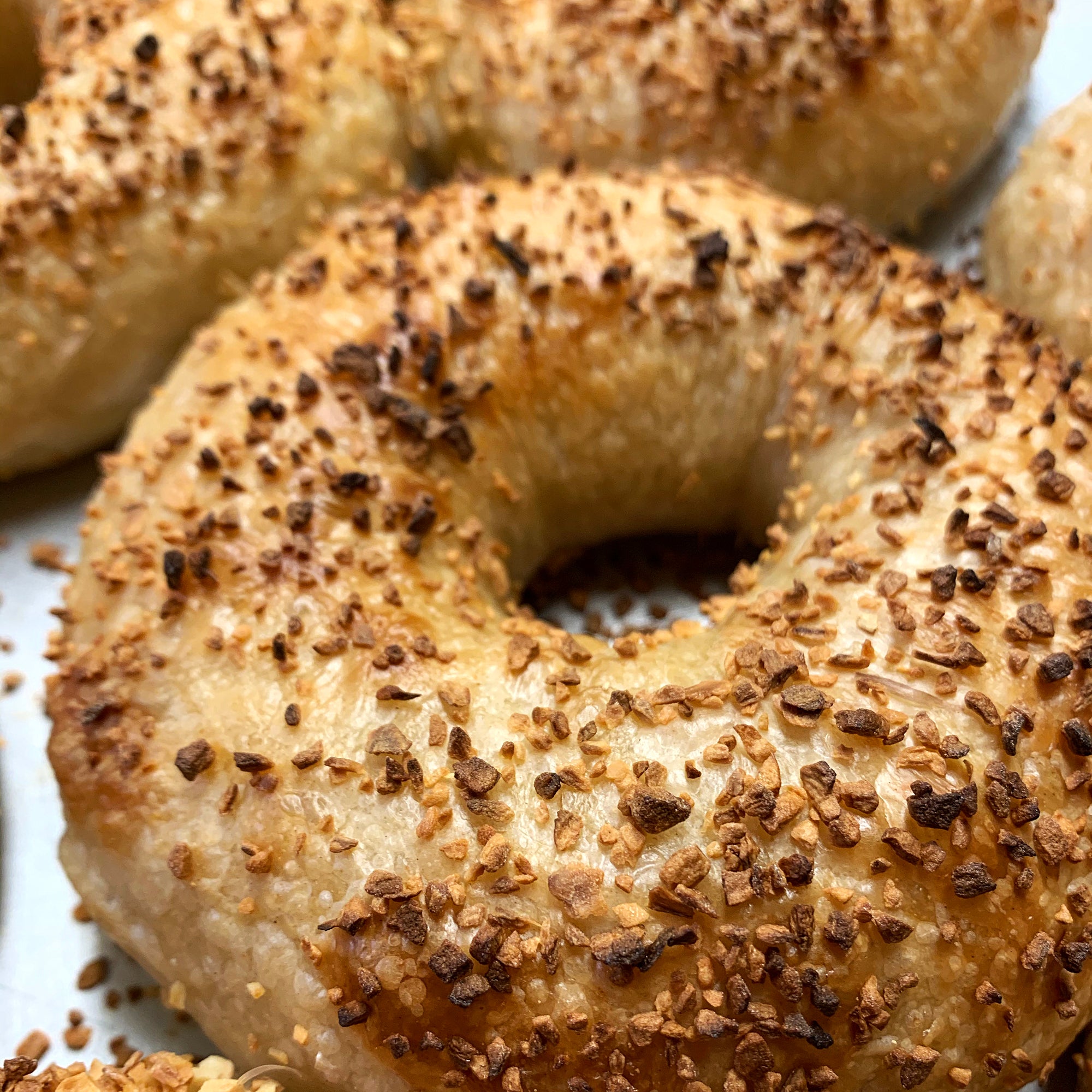 Test Dozen Bagels - Seeded Pack