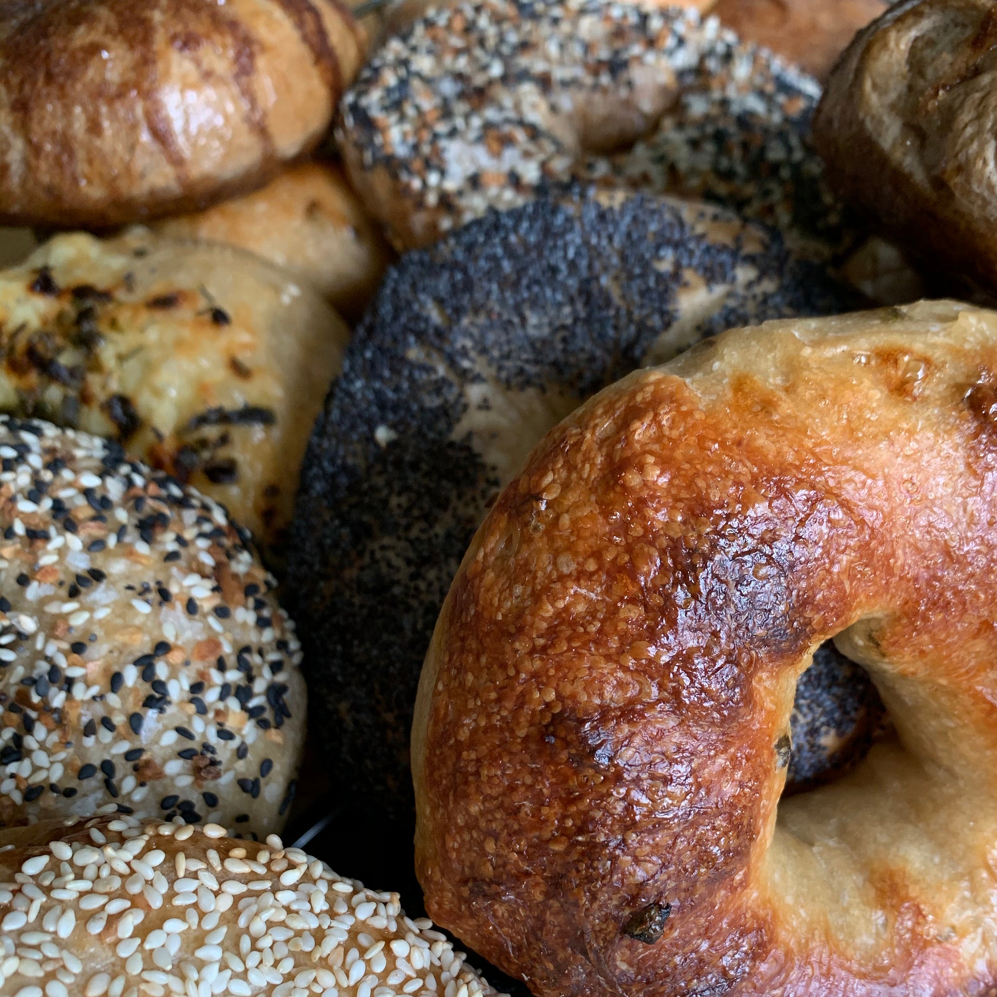 Delivery Thursday, Nov 5 - Half Dozen Variety Pack